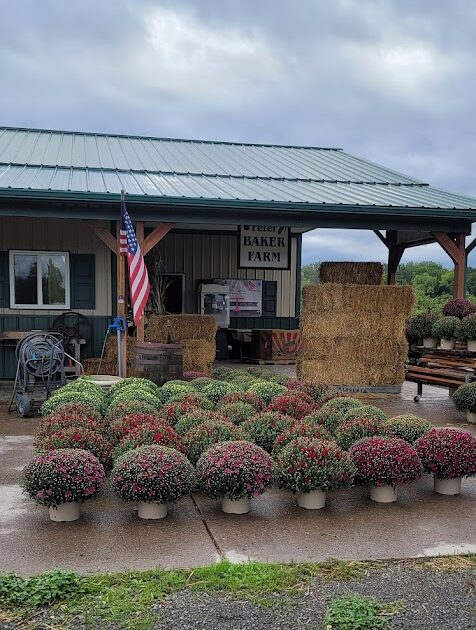 Baker Farm Market and U-Pick Market Outside View 2