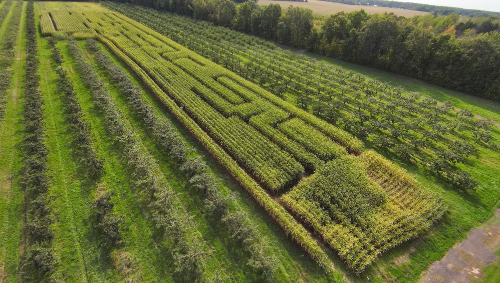 Baker Farm Market and U-Pick Market Drone View corn maze