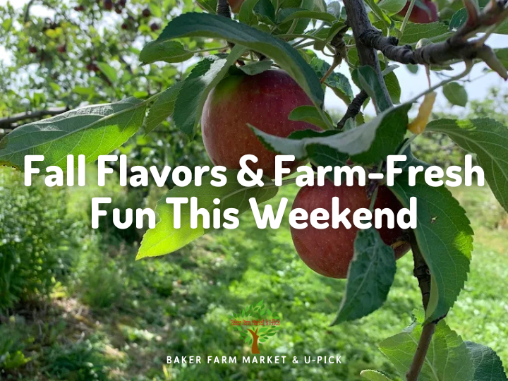 Fall Flavors & Farm-Fresh Fun This Weekend at Baker Farm!